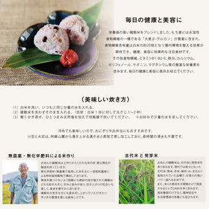 〈お試し100g〉A・ZEN 日本の十八穀米