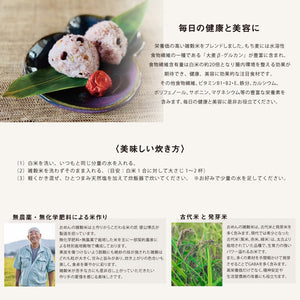 〈お試し100g〉A・ZEN 日本の十六穀米