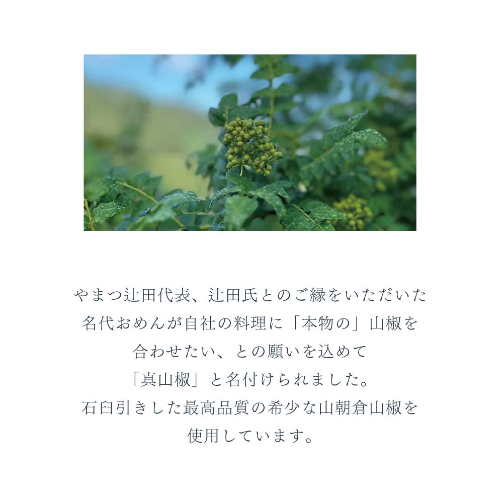 真山椒　香辛料（山）